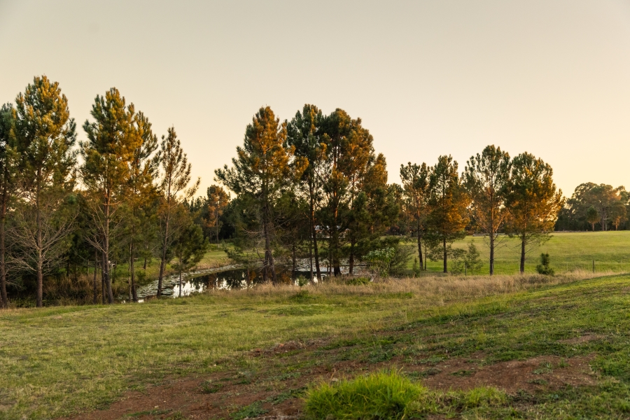 3 Bedroom Property for Sale in The Crags Western Cape